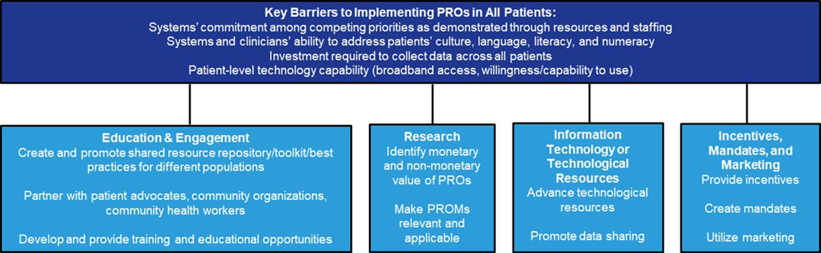 Infographic showing PROMS Equity Project Outcomes